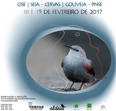 Aves Invernantes.jpg Aves Invernantes.jpg
