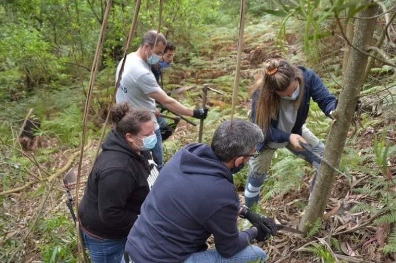 Viana Do Castelo Assinala Dia Mundial Da Floresta E Dia Mundial Da Gua