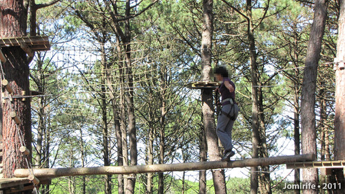 Parque Aventura: Equilíbrio no tronco