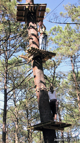 Parque Aventura: No 2º andar da árvore