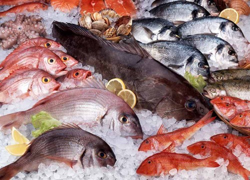 peixe.jpg