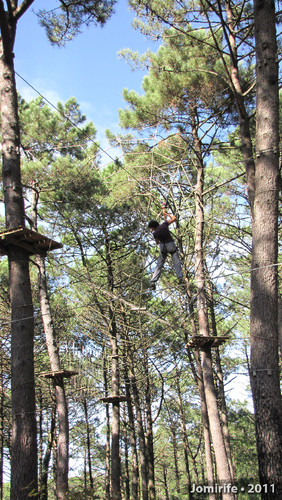 Parque Aventura: Apanhada na teia