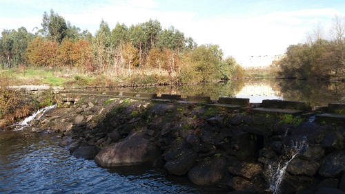 20161208_115027.jpg