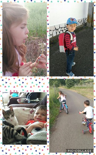 Collage 2017-05-07 09_26_37.jpg Collage 2017-05-07 09_26_37.jpg