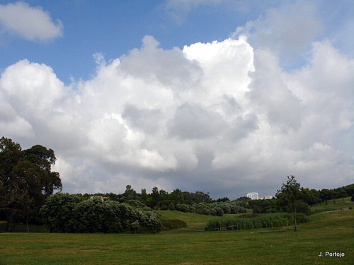 Parque da Cidade. 3.jpg