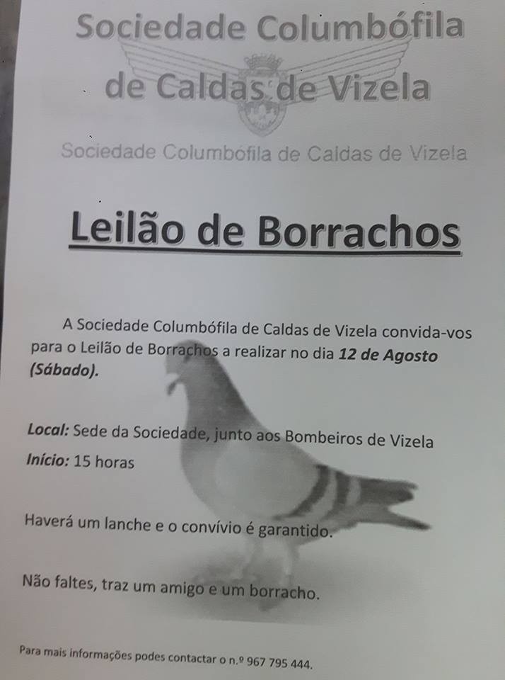 Leilão Vizela.jpg Leilão Vizela.jpg