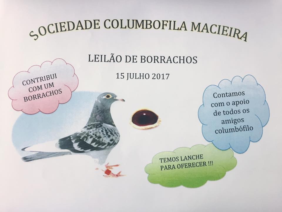 Leilão Macieira.jpg Leilão Macieira.jpg