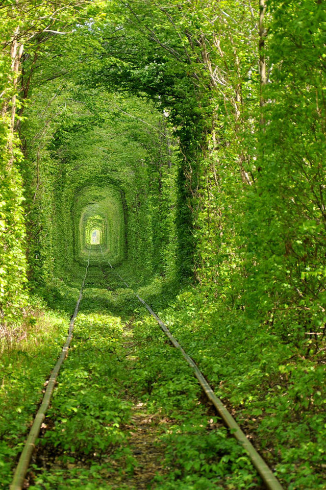Frondoso túnel em Klevan