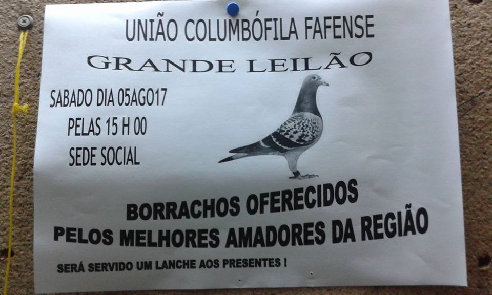 Leilão Fafe.jpg Leilão Fafe.jpg