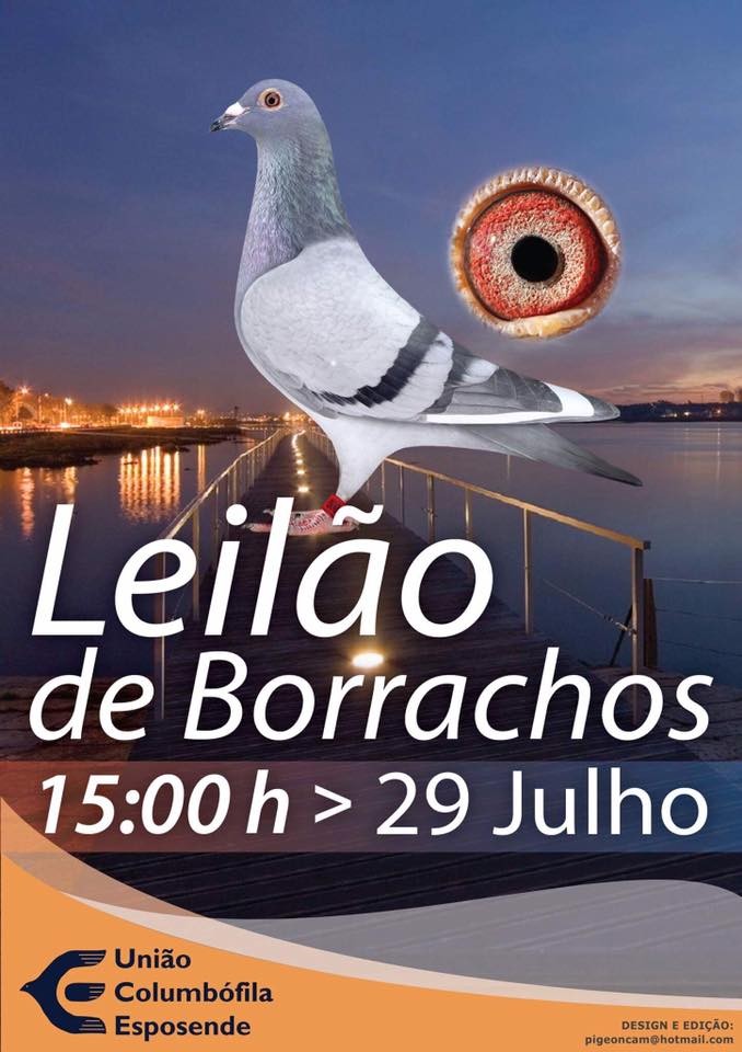 Leilão Esposende.jpg Leilão Esposende.jpg
