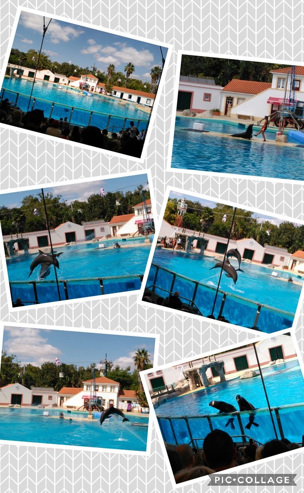 Collage 2017-08-31 23_27_07.jpg Collage 2017-08-31 23_27_07.jpg