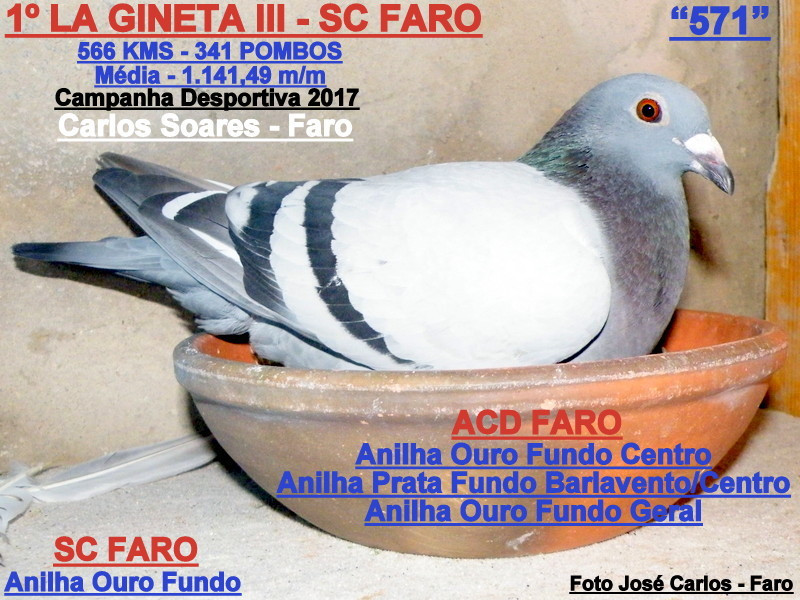 Carlos Soares - Faro 001.JPG