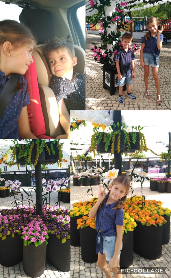 Collage 2017-08-23 19_42_59.jpg Collage 2017-08-23 19_42_59.jpg