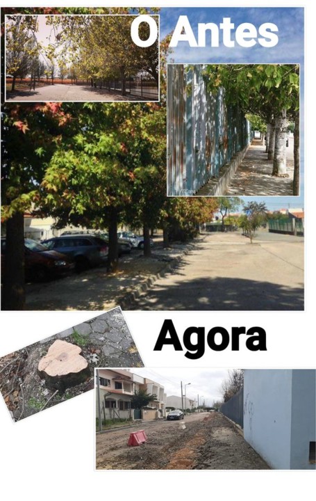 Arvoredo em Aveiro.jpg Arvoredo em Aveiro.jpg