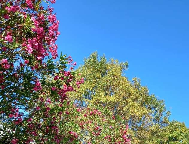 240386878_4223868157728457_7162684890083422270_n.j