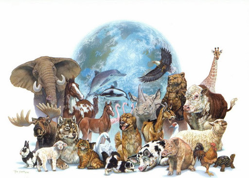 Todos os animais.jpg Todos os animais.jpg