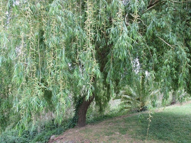 168314430_3773443642770913_3838483868043828905_n.j