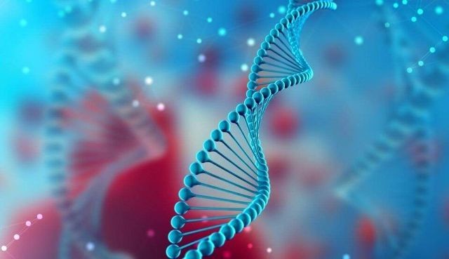genetica-o-que-e-os-elementos-basicos-e-as-princip