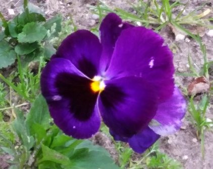 156849526_3691291147652830_5645560876984011348_o.j