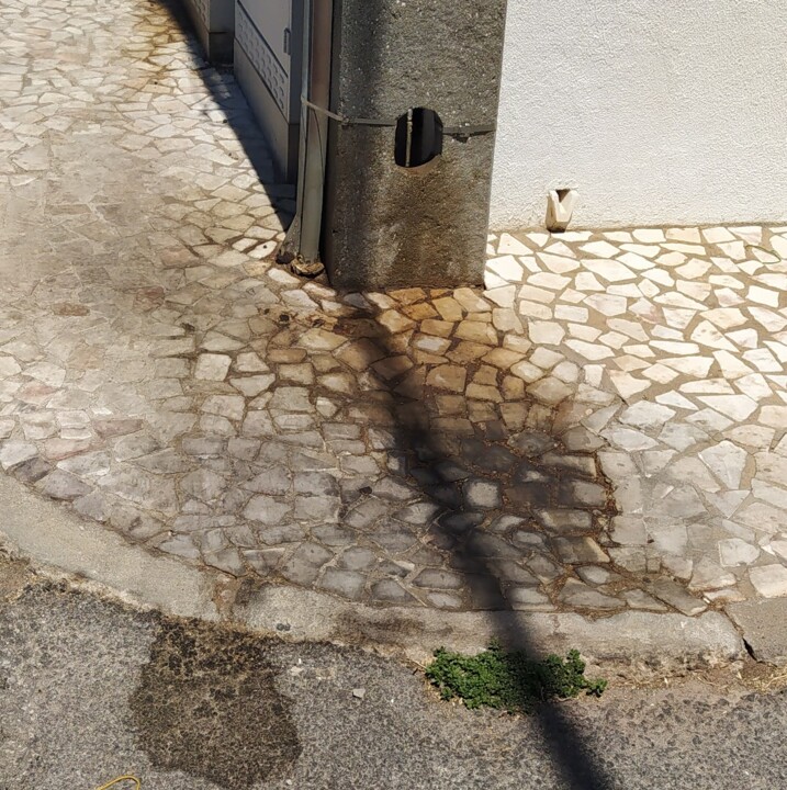 1658859939922 (1).jpg