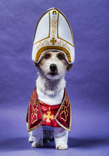 HD Igreja celebra serviços para cães.jpg