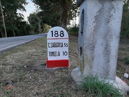 Marcos novo.jpg