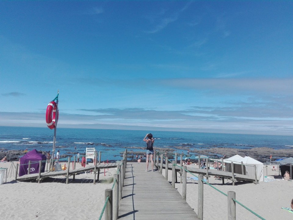 IMG_20190814_113155.jpg