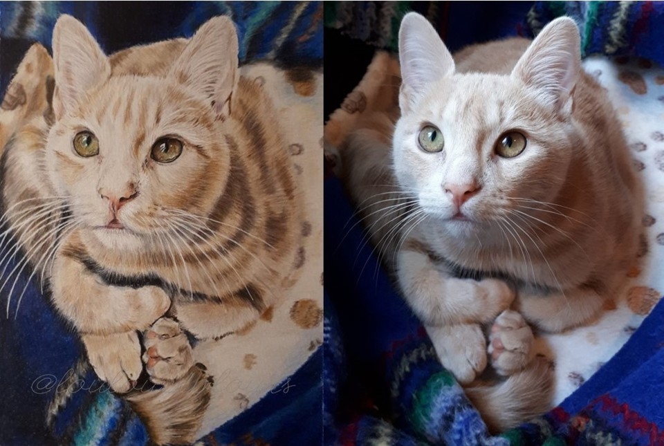 Apresentação1.jpg Apresentação1.jpg