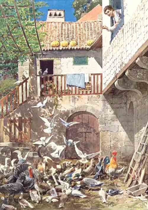 TP00 Pupilas Sr Reitor 19 c.jpg