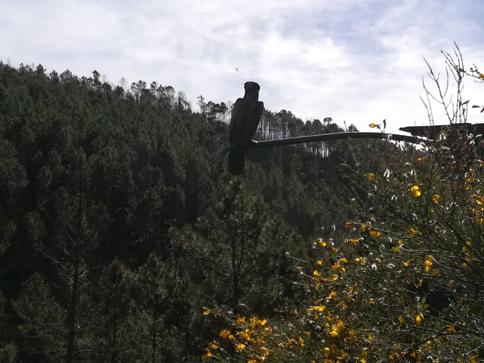 IMG_20190428_104055.jpg
