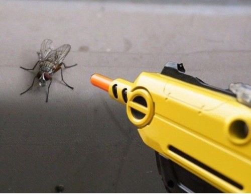 fly-shooter