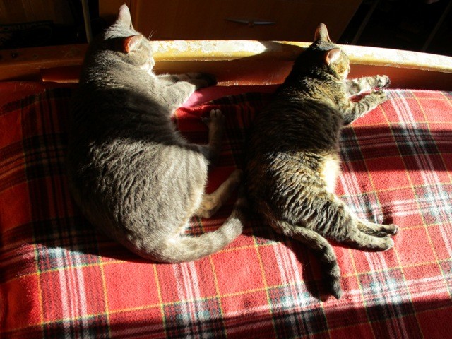 195879527_3047874575484666_6312287447948697301_n.j