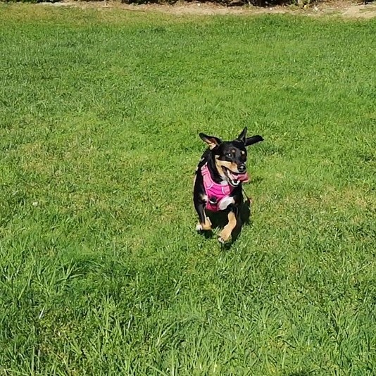 Todo o caminho_Maggie.jpg