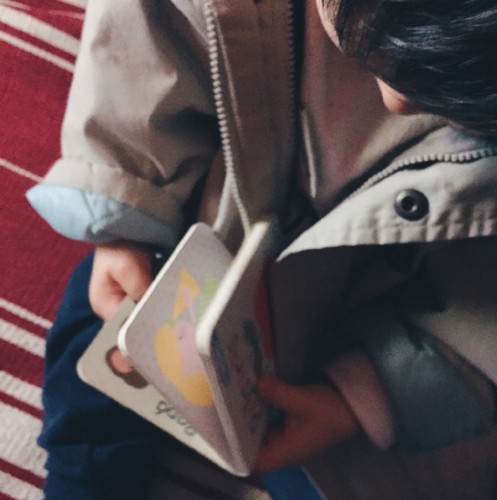 livros para bebés
