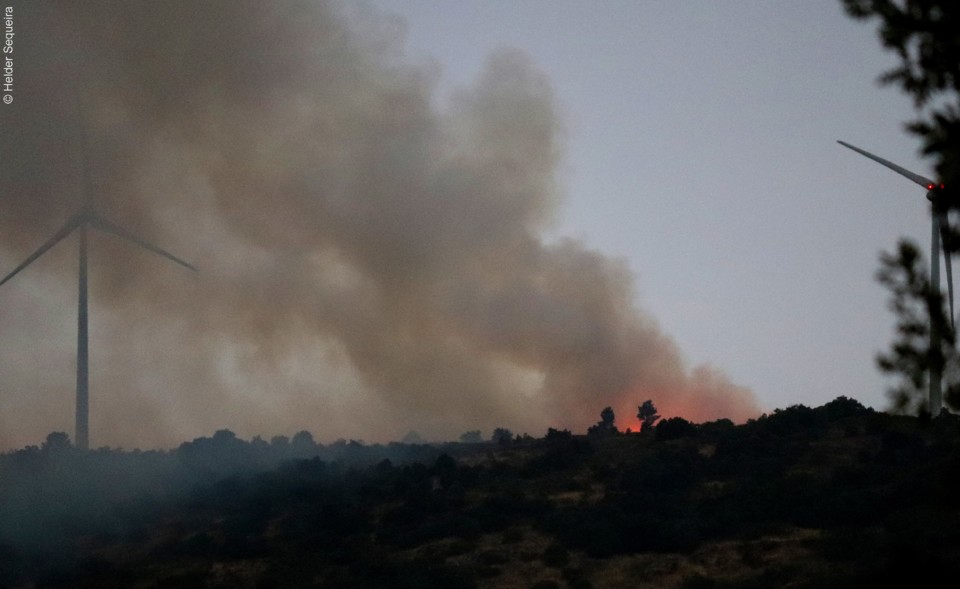 Incêndio jul2020 - HS.jpg