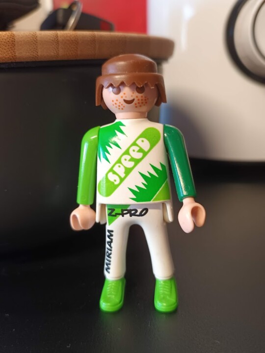 Não me canso disto_playmobil.jpg