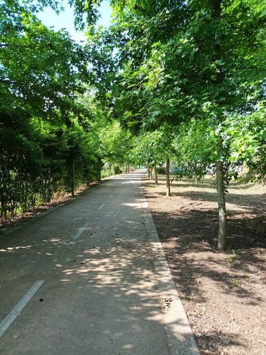 Não me canso disto_Canedo1_2.jpg