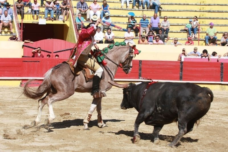 tauromaquia.jpg tauromaquia.jpg