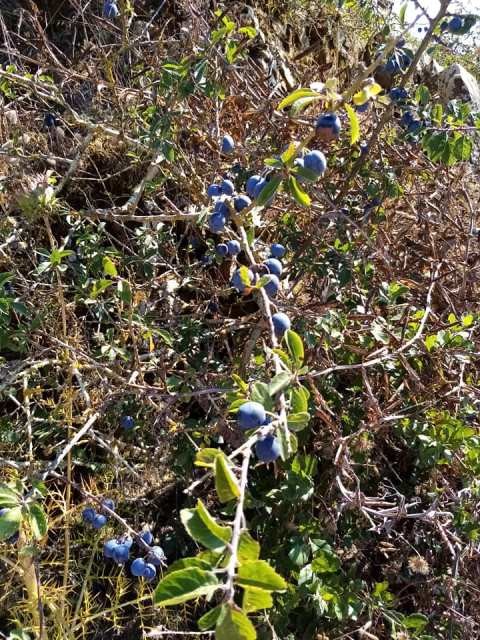 106914456_326246828536338_3031620942004056987_n.jp