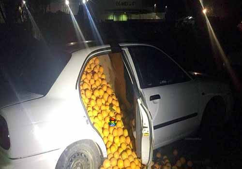 HD Laranjas roubadas intercetadas sem cinto de seg