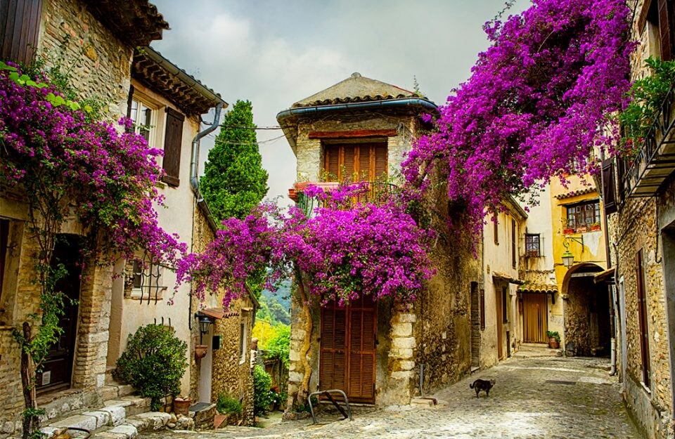 provence.jpg