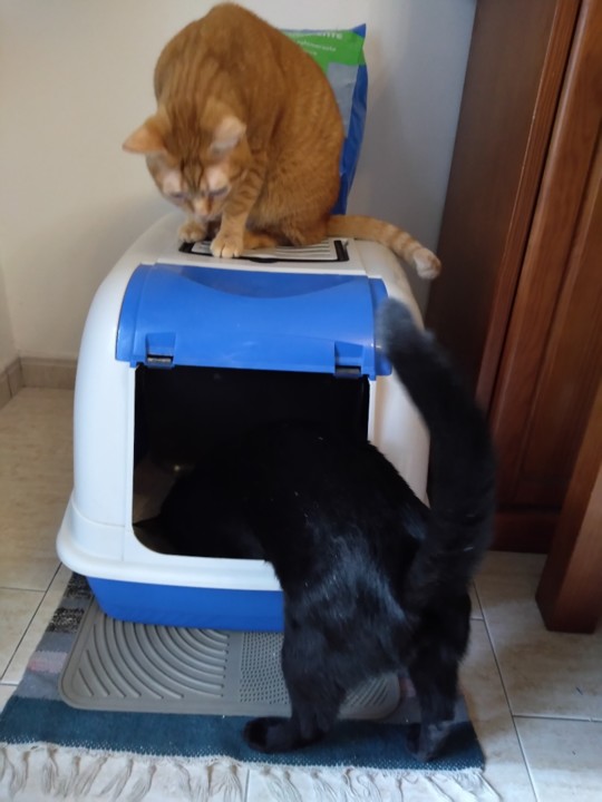 SquarePic_20191115_15063666.jpg SquarePic_20191115_15063666.jpg