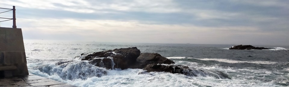 nse-7055041414114717627-2482A.jpg nse-7055041414114717627-2482A.jpg