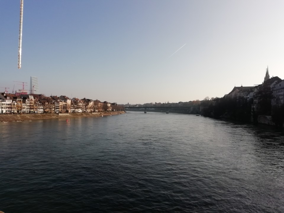 IMG_20191204_125308.jpg
