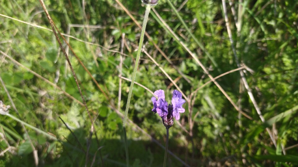 IMG_20231206_110935.jpg