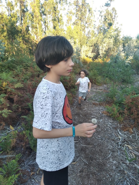 não_me_canso_disto_eles2.jpg
