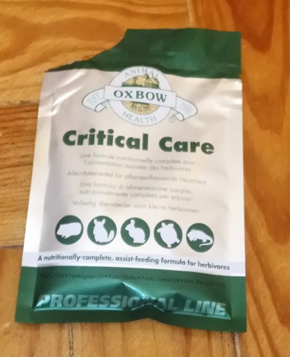 critical care.jpg