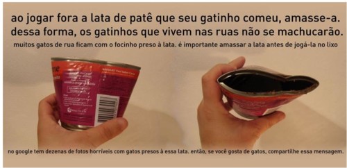 latas gatos latas gatos