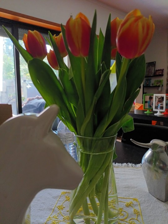 NãoMeCansoDisto_Flores.jpg