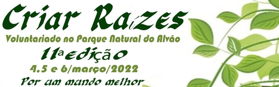 Imagem1.jpg